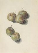 Edouard Manet, Etude de cinq prunes (mk40)
